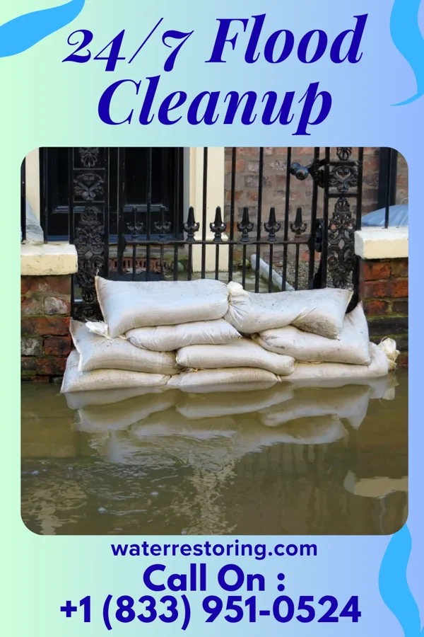 24/7 Flood Cleanup in St. Bonifacius, MN
