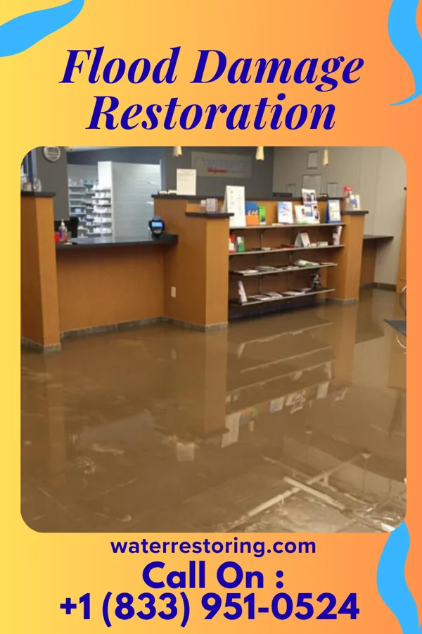Flood Damage Restoration in St. Bonifacius, MN
