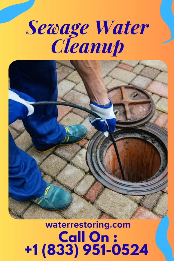 Sewage Water Cleanup in St. Bonifacius, MN