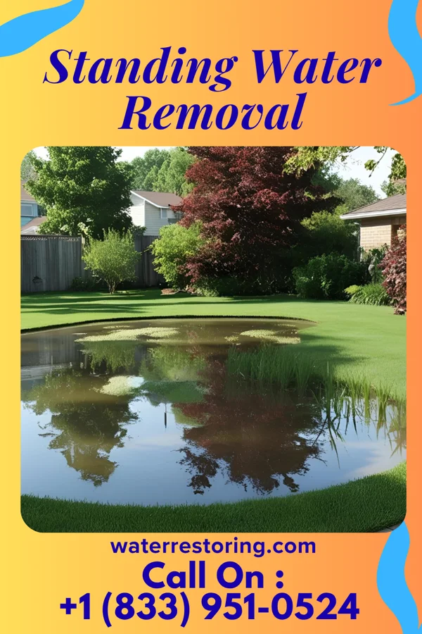 Standing Water Removal in St. Bonifacius, MN